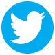 twitter icon